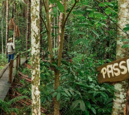 Observação de aves em MT é apresentada em feira de turismo