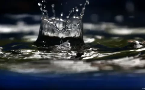 O risco de beber água da chuva