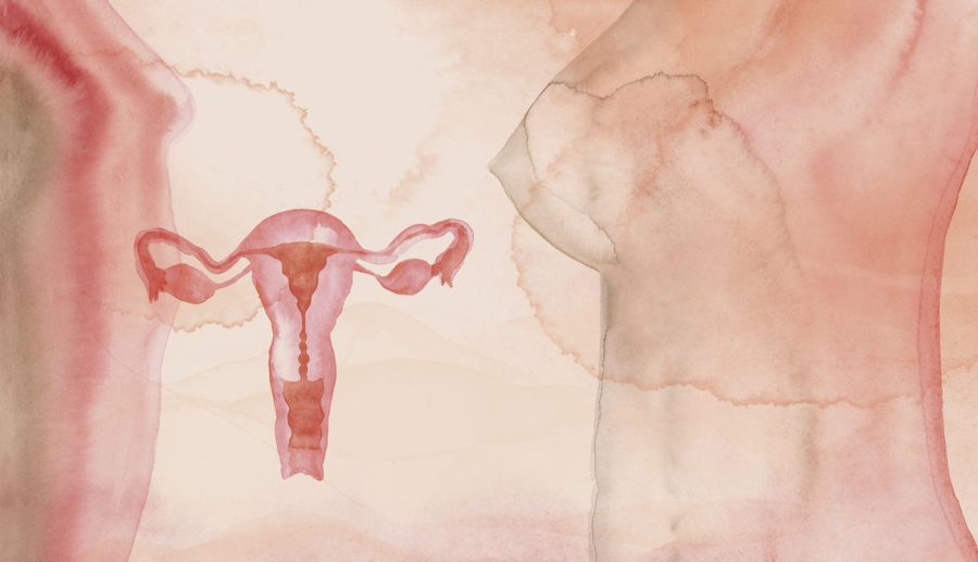 Mortalidade por câncer de mama e de colo do útero cresce no Brasil