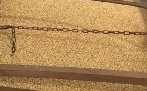 MT:  Divergências em contratos de soja viram caso de polícia em MT