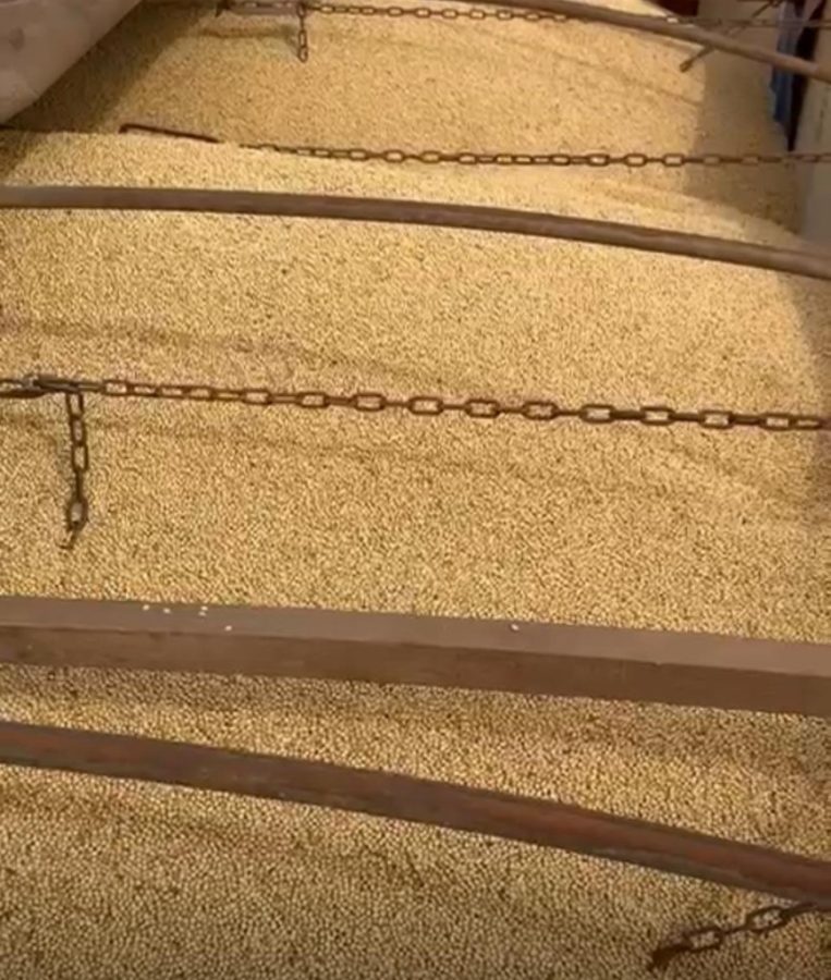 MT:  Divergências em contratos de soja viram caso de polícia em MT