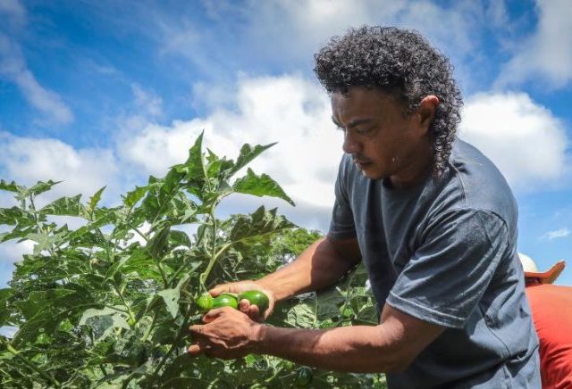 Governo fortalece pequenos agricultores e incentiva produção no campo