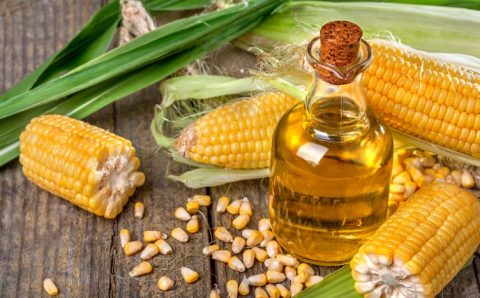 Exportações do agro registram recordes em produtos menos tradicionais