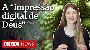 O que são os fractais, padrões matemáticos infinitos apelidados de ‘impressão digital de Deus’