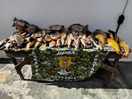 Polícia Civil prende pescador profissional que comercializava pescado irregular em Várzea Grande