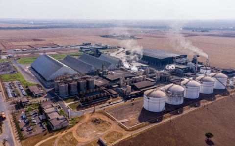 Incentivos fiscais impulsionam investimentos e geração de empregos em Mato Grosso