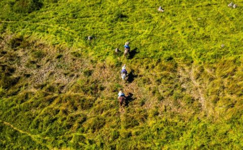 MT: Produtores devem estar atentos ao início do período proibitivo do uso do fogo no Pantanal