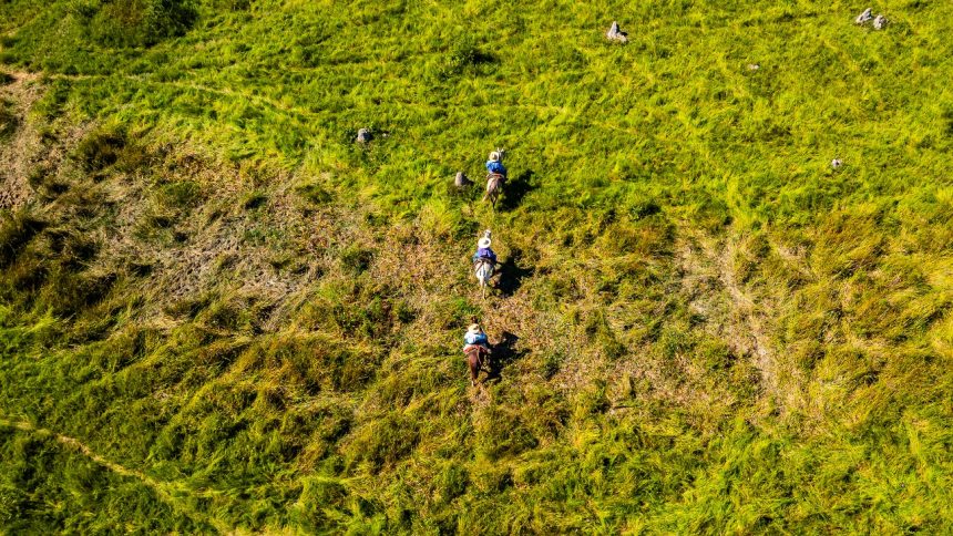 MT: Produtores devem estar atentos ao início do período proibitivo do uso do fogo no Pantanal
