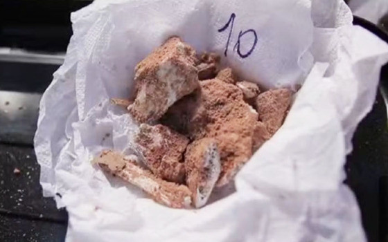 TRABALHO DA UFMT: Pesquisadores encontram fósseis de dinossauros em Chapada