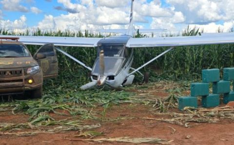 Mato Grosso é segundo estado do país que mais apreendeu cocaína em 2024, aponta Mapa da Segurança Pública