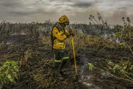 MT não tem plano de adaptação à mudanças climáticas