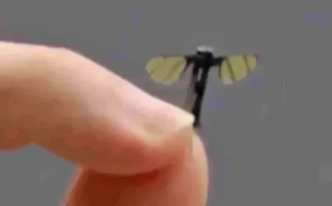 China apresenta drone militar do tamanho de uma mosca