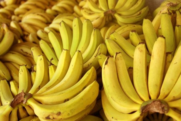 MT:  Ministro Carlos Fávaro lança Rota da Banana em Cáceres