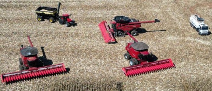 Mato Grosso dá início à colheita da segunda safra nacional de milho