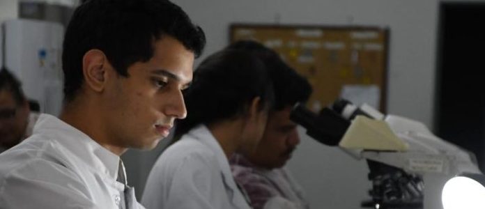 Pesquisadores desenvolvem sistema rápido para diagnóstico da resistência à antibióticos