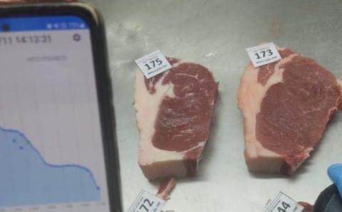 Pesquisa finaliza protótipo para avaliação da qualidade e maciez da carne bovina em tempo real com uso de IA
