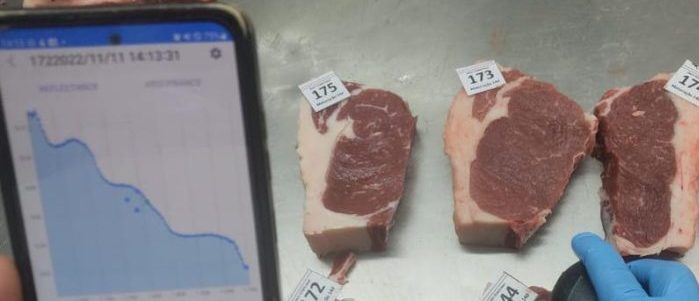 Pesquisa finaliza protótipo para avaliação da qualidade e maciez da carne bovina em tempo real com uso de IA
