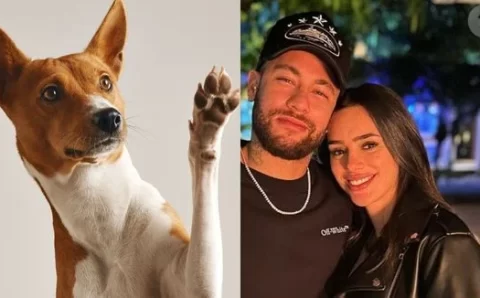 É um dos 3 nomes MAIS amados no Brasil por donos de pet: coincidência une escolha de Neymar e Bruna Biancardi a ranking sobre animais
