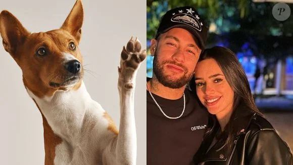 É um dos 3 nomes MAIS amados no Brasil por donos de pet: coincidência une escolha de Neymar e Bruna Biancardi a ranking sobre animais