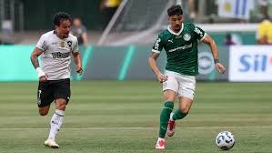 Confronto entre Botafogo e Palmeiras na Copa do Mundo de Clubes reacende rivalidade iniciada em 2023