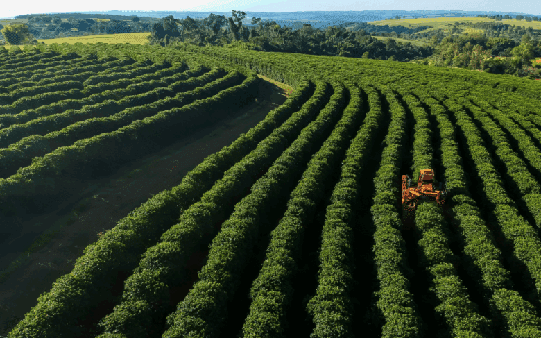 Agronegócio responde por 29% da energia renovável no Brasil, aponta estudo da FGV