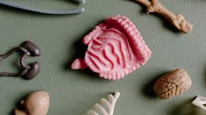 Conheça condição rara que muda a posição dos órgãos do corpo