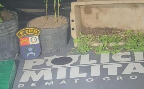 Cavalaria prende dois homens com tabletes e pés de maconha em Alto Paraguai