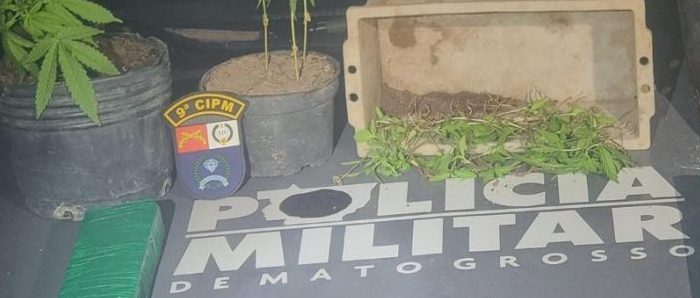 Cavalaria prende dois homens com tabletes e pés de maconha em Alto Paraguai