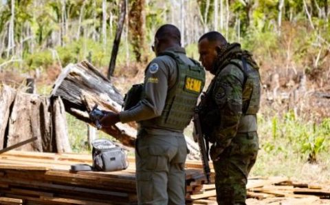 Sema deflagra 127 operações contra crimes ambientais e aplica R$ 1,3 bilhão em multas no primeiro semestre de 2025