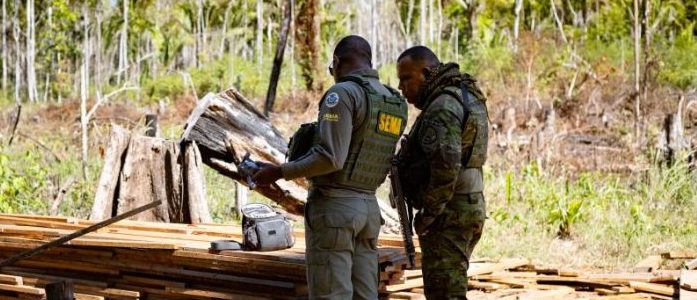Sema deflagra 127 operações contra crimes ambientais e aplica R$ 1,3 bilhão em multas no primeiro semestre de 2025