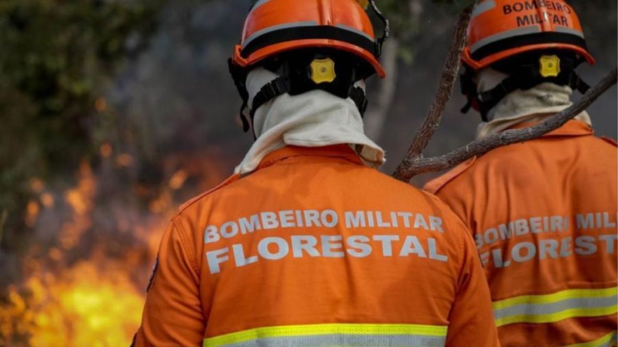 MT:  BIOMAS CERRADO E AMAZÔNIA:   Famato alerta produtores sobre restrição no uso do fogo em MT; medida já está em vigor