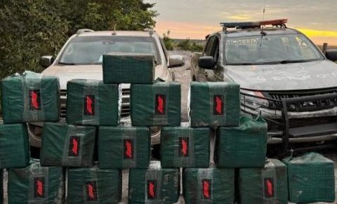 Apreensões de drogas aumentaram 646% em dez anos em Mato Grosso