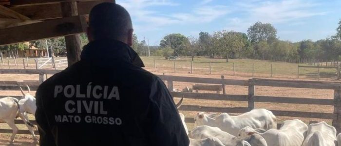 Polícia Civil deflagra operação para apurar roubo de 90 cabeças de gado em fazenda em Cuiabá