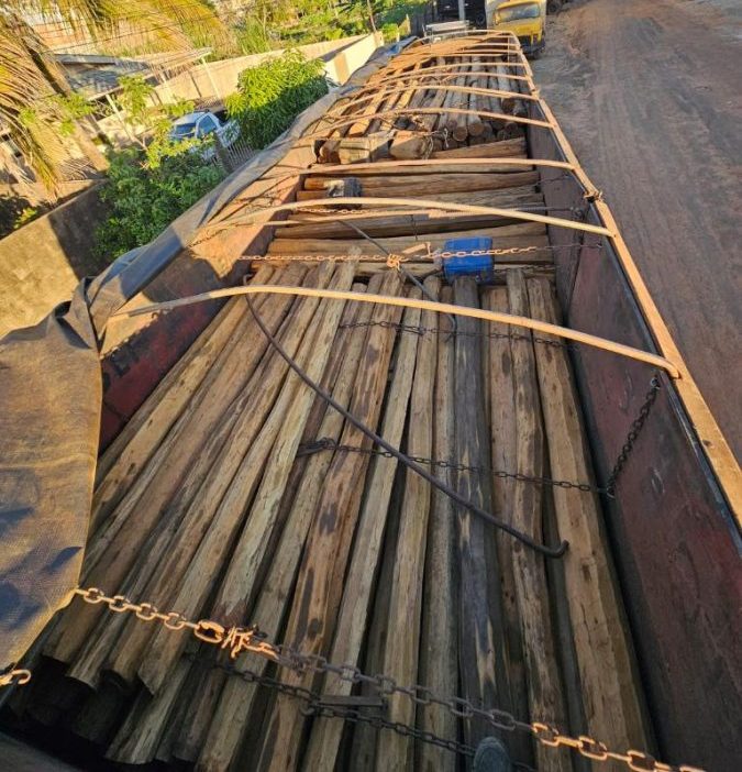 Polícia Civil intensifica combate ao transporte ilegal de madeira entre Mato Grosso e Rondônia