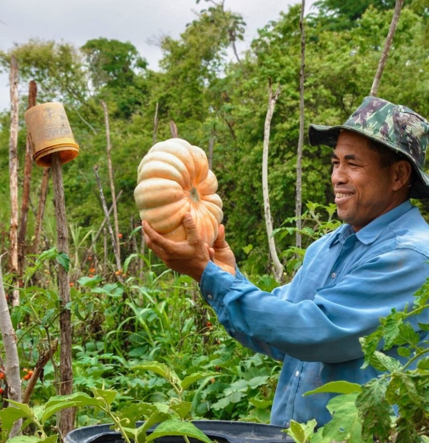 Agricultura familiar e desenvolvimento rural: um olhar sobre as contribuições da Embrapa Cerrados