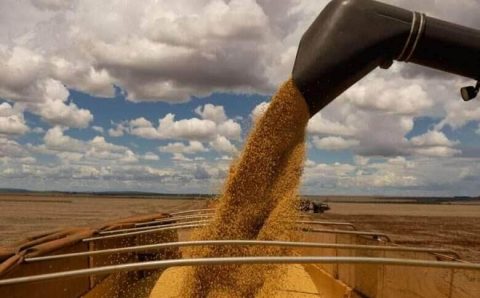Mesmo com leve alta em Chicago, soja brasileira segue dominando mercado chinês