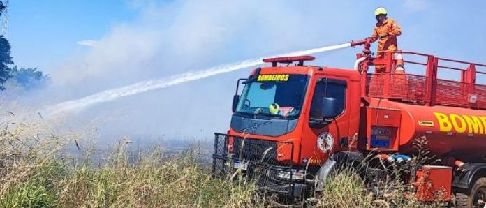 Corpo de Bombeiros combate incêndio em terreno próximo a algodoeiras