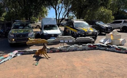 Operação integrada do Gefron e PRF apreende 280 quilos de drogas com auxílio de cão farejador