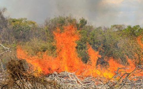 Polícia Militar prende homem por provocar incêndio em zona rural de Vila Rica
