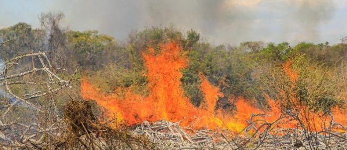 Polícia Militar prende homem por provocar incêndio em zona rural de Vila Rica