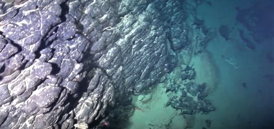 CIÊNCIA:  Terras raras em ilha submersa podem tornar o Brasil uma potência no mercado de eletrônicos?