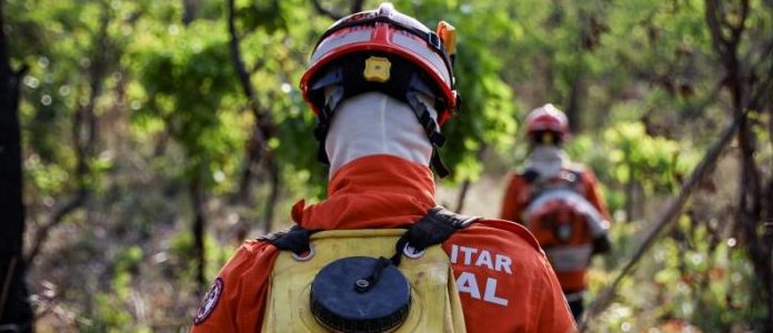 Corpo de Bombeiros extingue 2 incêndios florestais e combate 3 neste domingo (10)