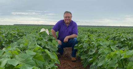 MT:  TARIFAÇO É POLÍTICO:  ‘Está todo mundo pagando uma conta sem dever’, diz Maggi sobre ‘tarifaço’