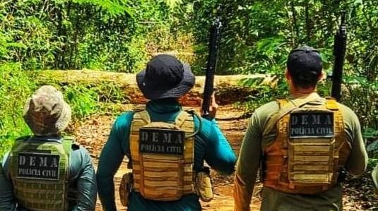 Polícia Civil apreende mais de R$ 134 milhões em carga de madeira ilegal no primeiro semestre de 2025