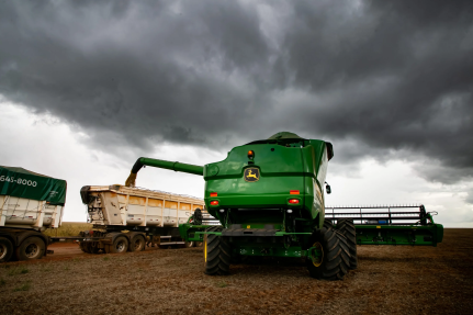 MT:   MAIOR POLO TÊXTIL:   Município de MT exportou 519,6 milhões de dólares em commodities em 2025