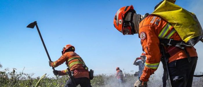 Bombeiros extinguem 4 incêndios florestais e combatem outros 5 neste sábado (2)