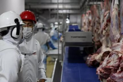 MT:  PREÇO COMPETITIVO E ALTA DEMANDA:  Analistas amenizam impacto do ‘tarifaço’ à carne bovina de MT