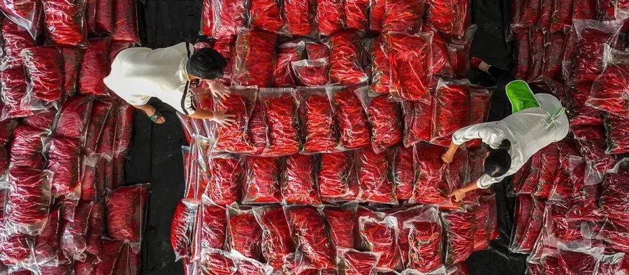 Comida apimentada protege coração e cérebro, sugere estudo