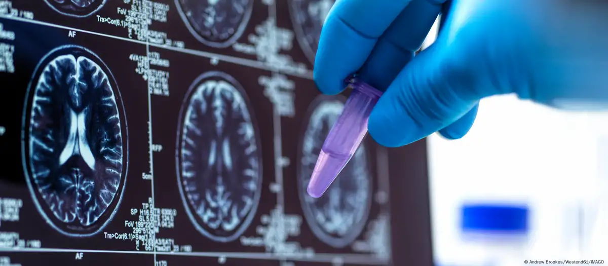 CIÊNCIA:  Fraude na ciência cresce com redes maliciosas, alerta estudo