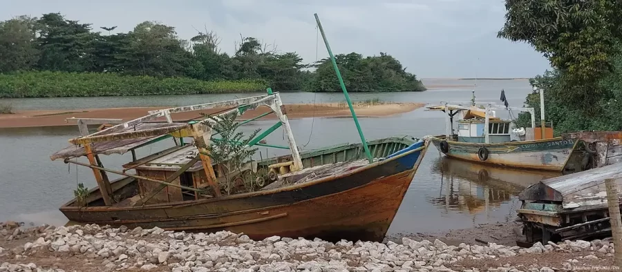 A lenta recuperação da foz do Rio Doce, 10 anos após Mariana
